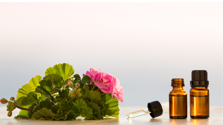 ژرانیوم یا شمعدانی عطری با رایحه ای دلپذیر مانند گل رز، به شدت تقویت کننده و متعادل کننده است و ممکن است در صورت استفاده موضعی، لکه های پوستی را کاهش میدهد.